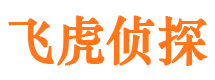 回民飞虎私家侦探公司